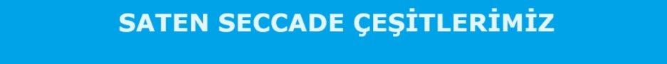 saten seccade 01012024
